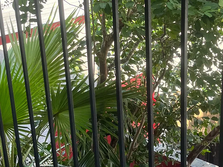 R & N PROPERTIES LLC — Photo 69