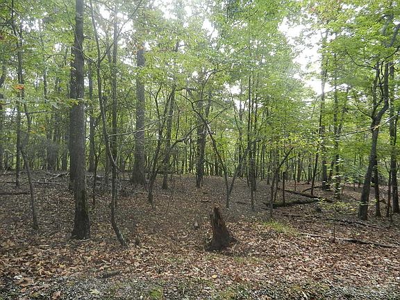 3rd image of 0 Holly Ln Lot L