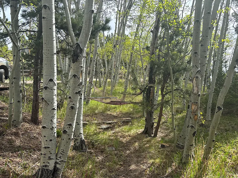 83 Navajo Trl — Photo 11