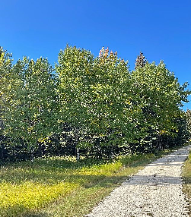2nd image of 21687 Pahkamaa Rd