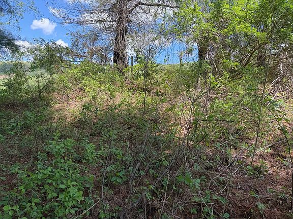 3rd image of 0 Pipers Gap Rd
