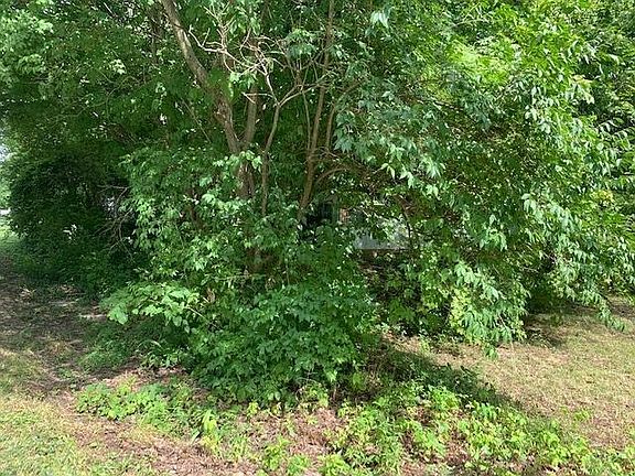 5th image of 11346 Holiday Way