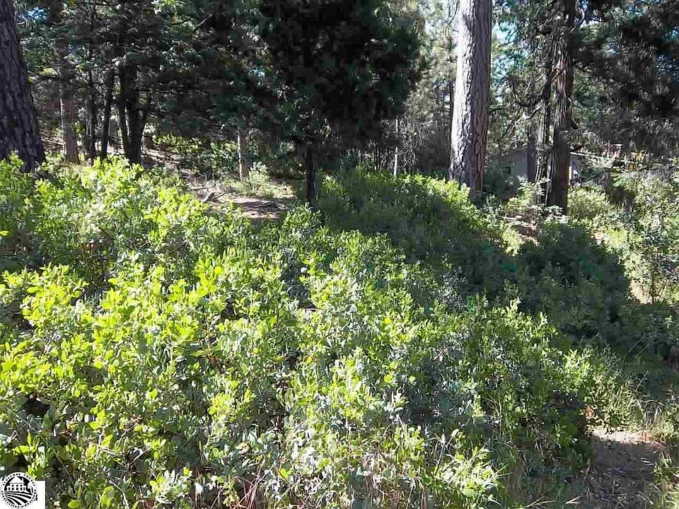 1st image of 22363 Broken Bough Ln