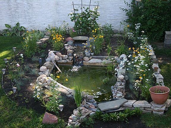 Pond