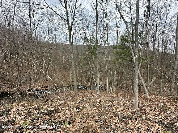 2nd image of 64 Palmer Road