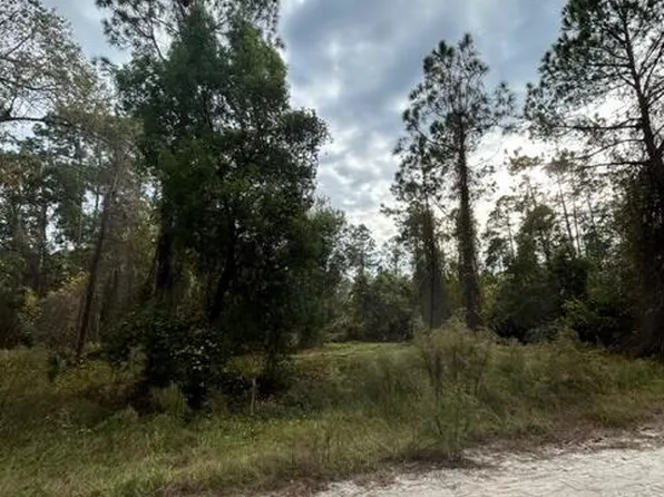 414 WHISPERING PINES Road, Georgetown, FL 32139