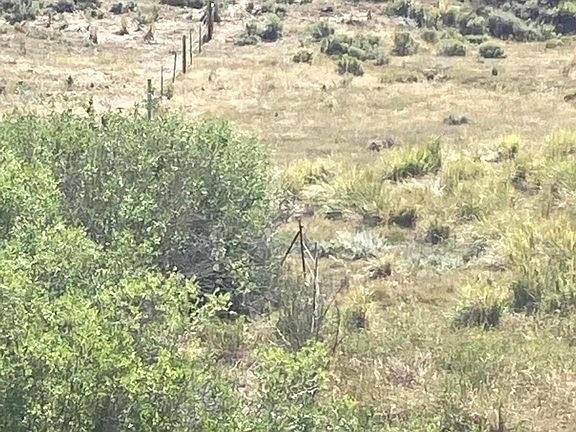 3rd image of 2647 Middle Fork Little Sheep Crk