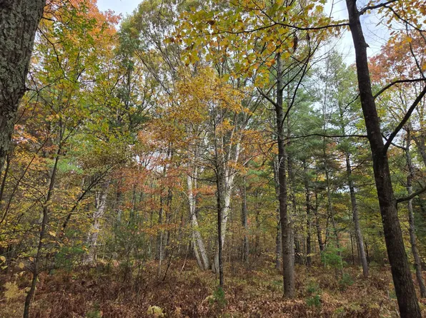 LOT 8 French Rd, Pembine, WI 54156