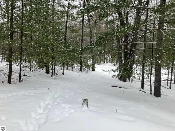 Wilderness Dr, Alger, MI 48610