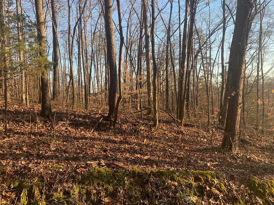 2nd image of Forest Heights Cir
