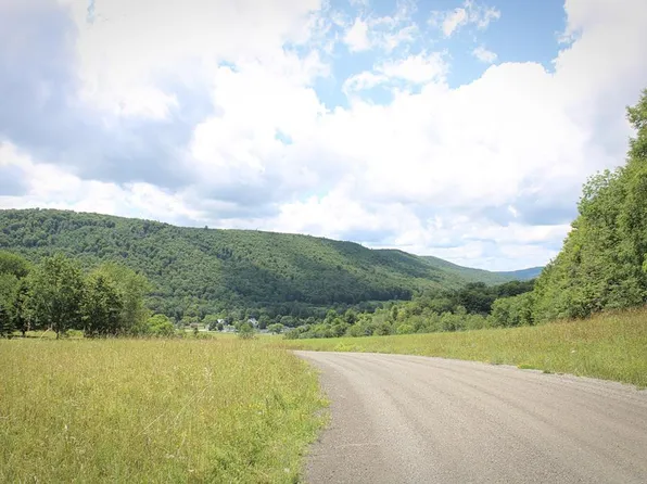 326 Andrews Hill Rd, Harrison Valley, PA 16927