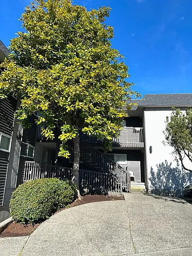 5900 SW Admiral Way Photo 1