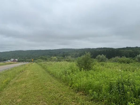 Vl County Rte Lot 2-46, Dansville, NY 14437