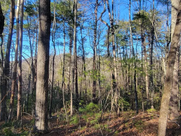 0 Underwood Ln, Clayton, GA 30525