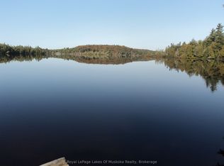 1071 N Dotty Lake Rd, Lake Of Bays, ON P1H2J6