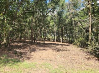 SW Pine Bluffs Rd LOT 22, Dunnellon, FL 34431