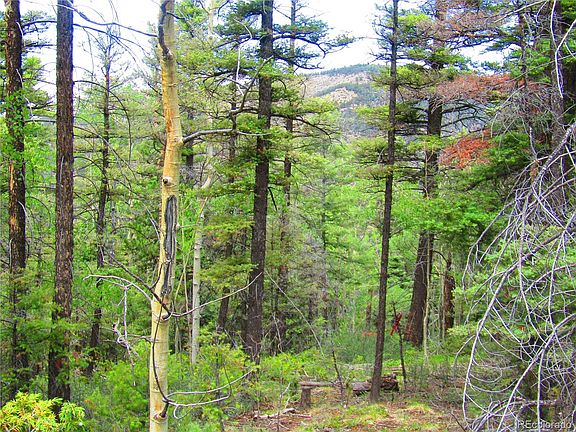 5th image of LOT 6079 Stella Road