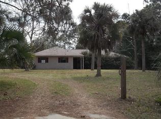 3 Needles Ln, Ormond Beach, FL 32174