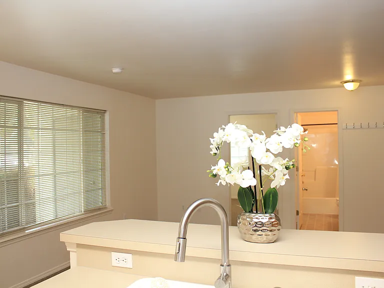 View from Kitchen to Living Room