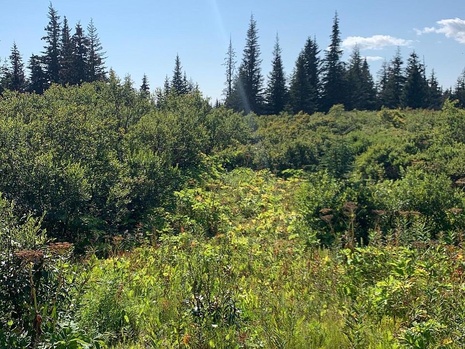 2nd image of 58995 Ohlson Mountain Rd