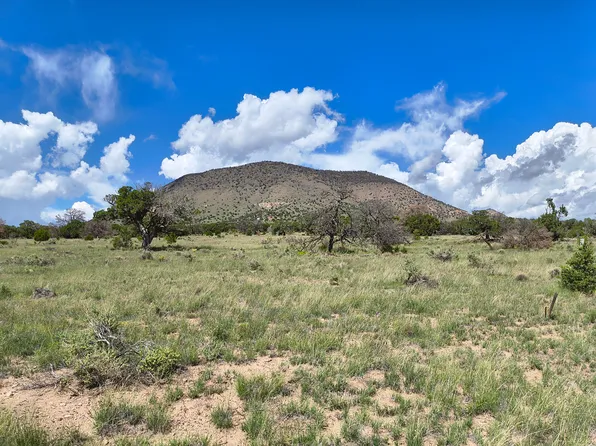 77 Wildwood Trl Lot 77, Datil, NM 87821