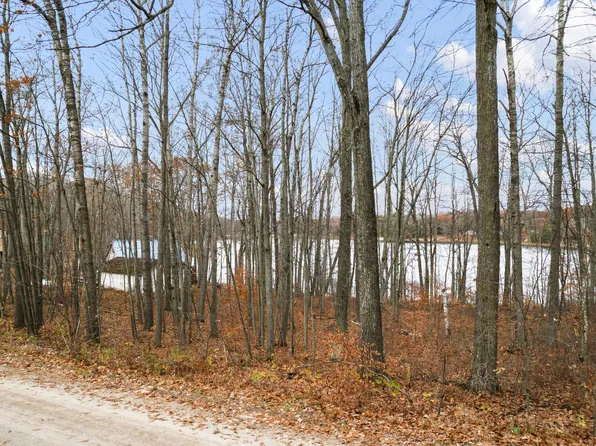 10132 Alpine Dr, Reed City, MI 49677
