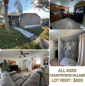 9625 Barnside Pl, Tampa, FL, 33635