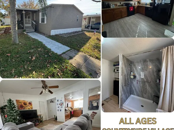 9625 Barnside Pl, Tampa, FL 33635