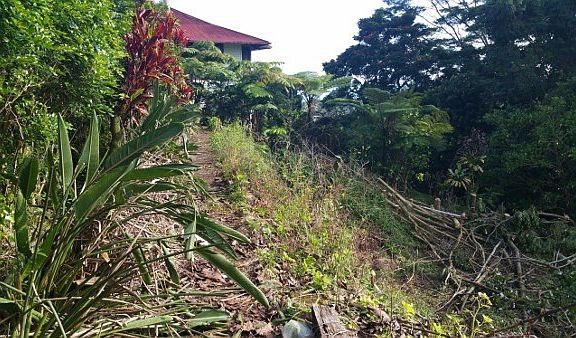 4th image of 173 Halai St Lot 18-B