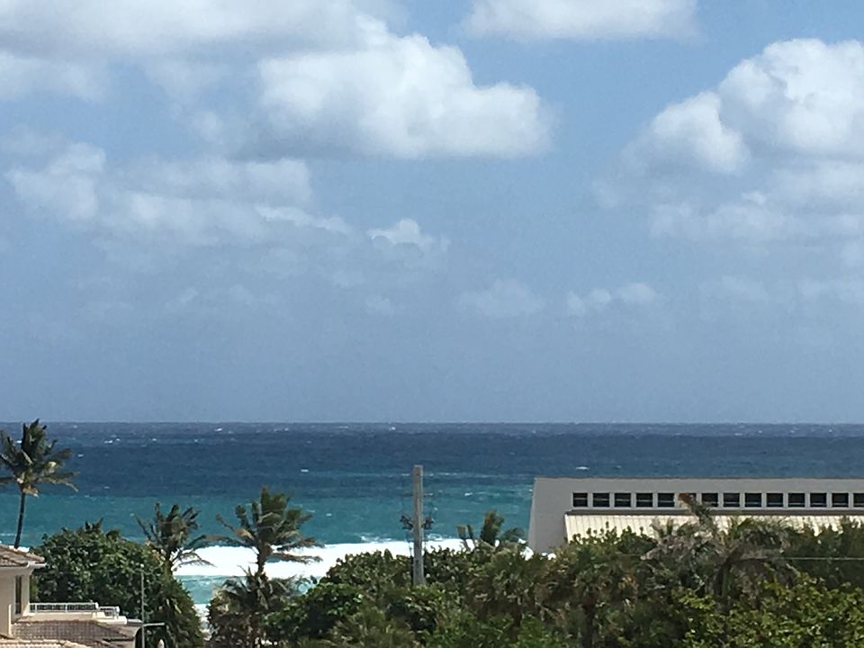 View from Living Room
