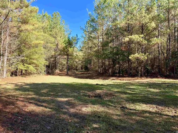 3 Highway 1047, Amite, LA 70422