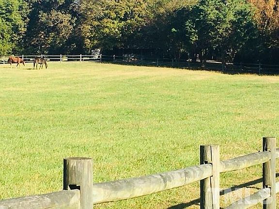 4th image of 209 Wild Turkey Trl