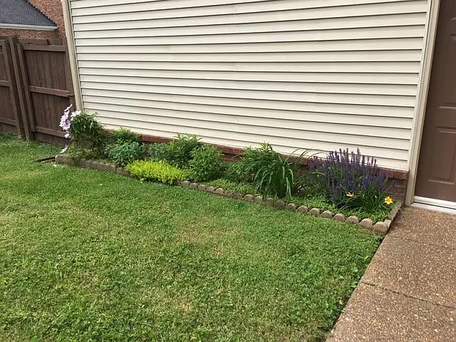 Back yard...West side