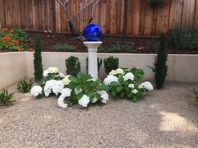 3001 Lasuen Dr, Carmel, CA, 93923