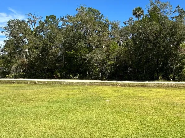 Bell Dr NE, Steinhatchee, FL 32359