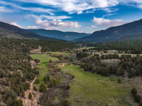 3217 County Road 41, Mancos, CO 81328