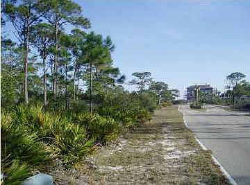 5th image of 1700 Jasmine Way