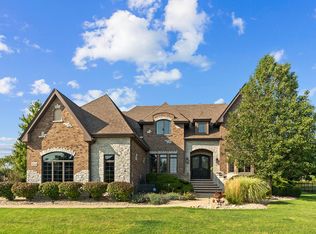 8748 Chilton Ct, Frankfort, IL 60423