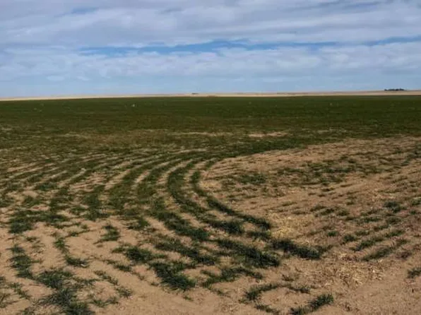 0 County Road A W, Cheyenne Wells, CO 80810