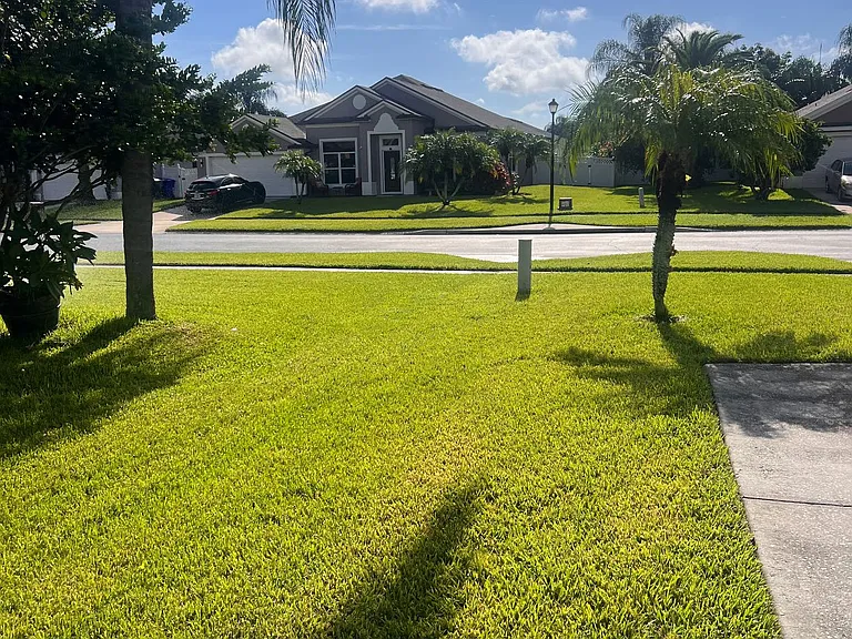 Front yard with manicured hedges and tropical landscaping.