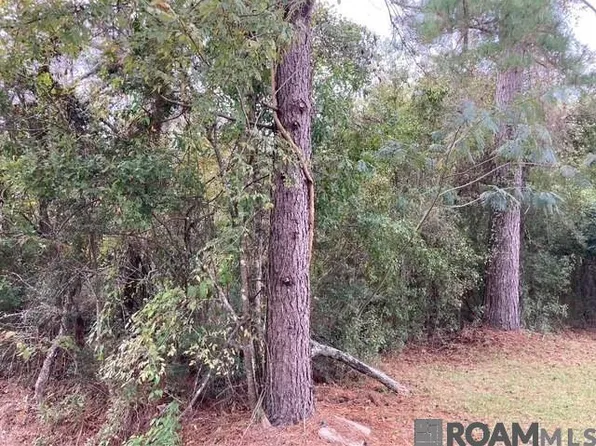 LOT 14 Lucien St, Denham Springs, LA 70726