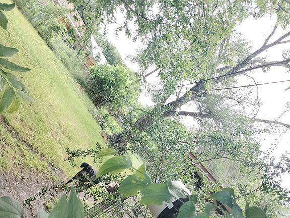 4th image of 5130 VILLAGE GREEN