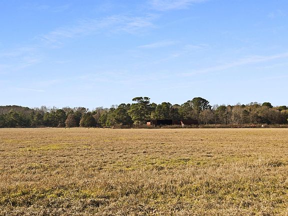 5th image of 13120 County Road 499
