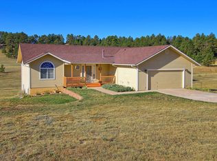 18635 Steeplechase Dr, Peyton, CO 80831