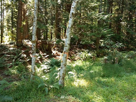2nd image of 2 Strawberry Canyon Ct