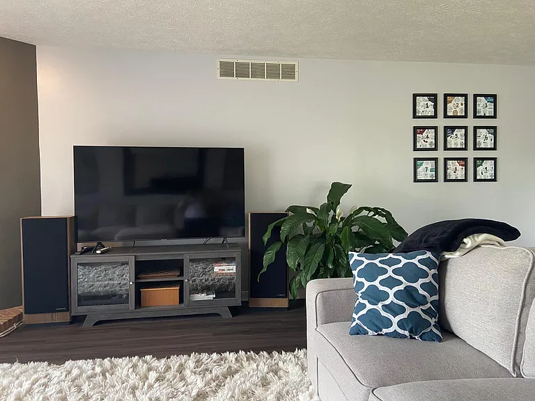 Living Room Pic 8