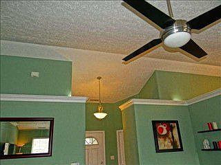 5th image of 2317 Drexel Dr