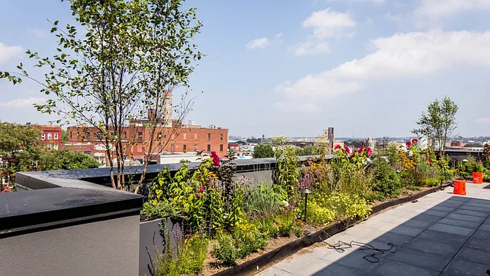 Rented by Nooklyn NYC LLC | media 41