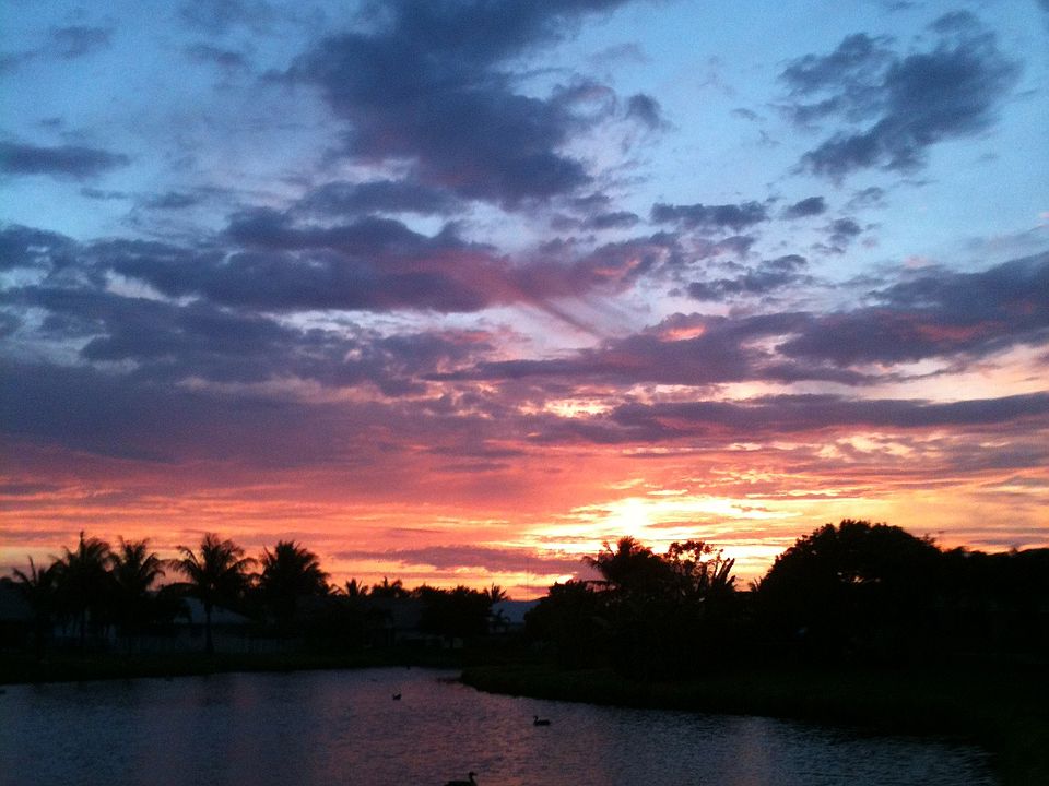 view from MBr, LR, FR, BR #4