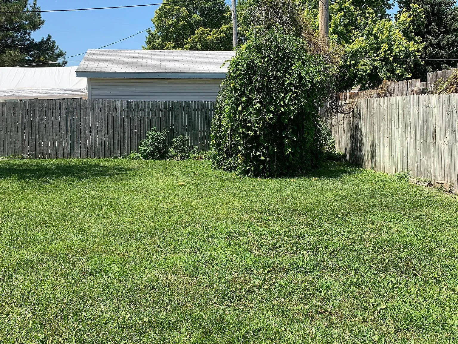 3 bed, 896 sqft, $1,400 — Photo 4